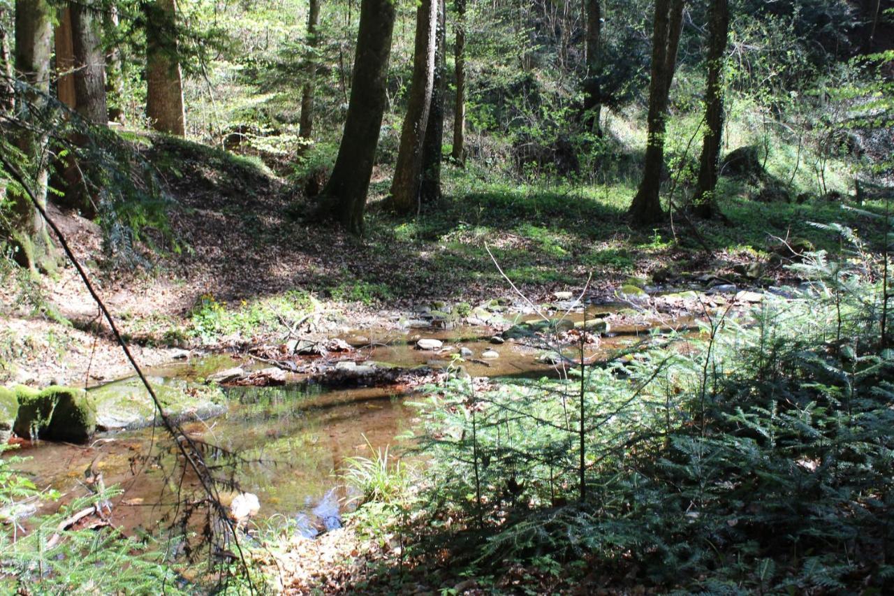 Tiefala's Eck Stubenberg Exteriör bild
